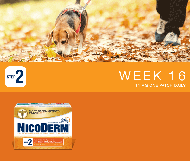 Nicoderm Step 2 - 14 MG Nicotine Patch